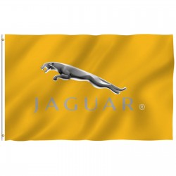 Jaguar Gold 3' x 5' Polyester Flag