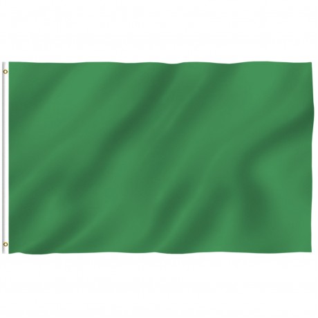 Solid Green 3' x 5' Polyester Flag