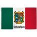 Tamaulipas Mexico State 3' x 5' Polyester Flag, Pole and Mount