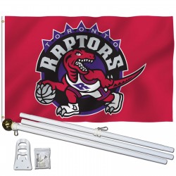 Toronto Raptors 3' x 5' Polyester Flag, Pole and Mount
