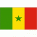 Senegal 2' x 3' Polyester Flag
