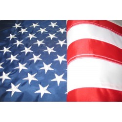 American US Flags - Economy
