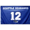 NFL Pro Football Deluxe Flags