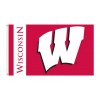 Wisconsin Badgers