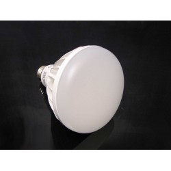 Dimmable 14 Watt LED Light Bulb