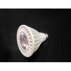 Dimmable 14 Watt LED Light Bulb