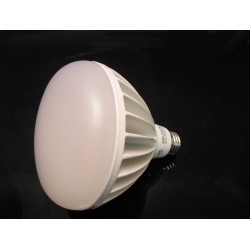 Dimmable 20 Watt LED Light Bulb