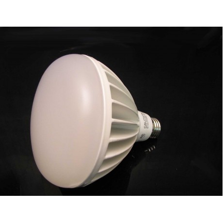 Dimmable 20 Watt LED Light Bulb