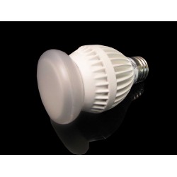 Dimmable 12 Watt LED Light Bulb