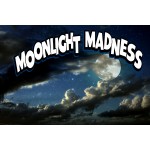 Moonlight Madness 2' X 3' Vinyl Business Banner