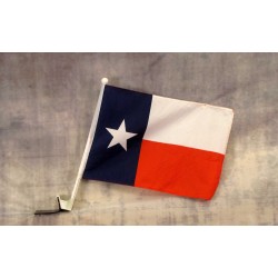 Texas 12" x 15" Car Window Flag
