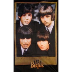 Beatles Novelty Music 3'x 5' Flag
