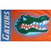 FLorida Gators 3'x 5' Flag
