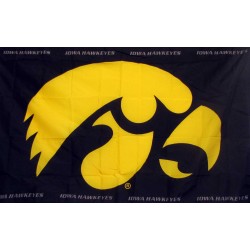 Iowa Hawkeyes 3'x 5' College Flag