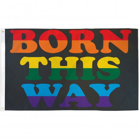 Born This Way Rainbow 3' x 5' Polyester Flag