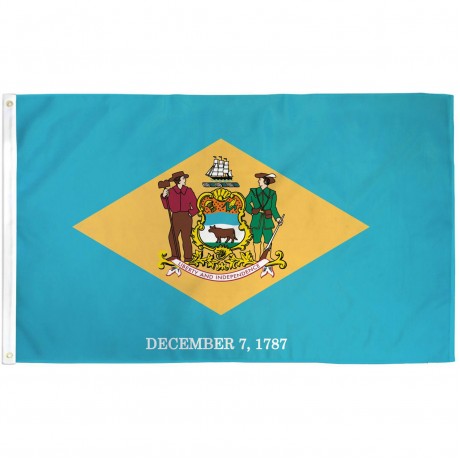 Delaware State 2' x 3' State Flag