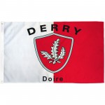 Derry Ireland County 3' x 5' Polyester Flag
