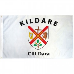 Kildare Ireland County 3' x 5' Polyester Flag