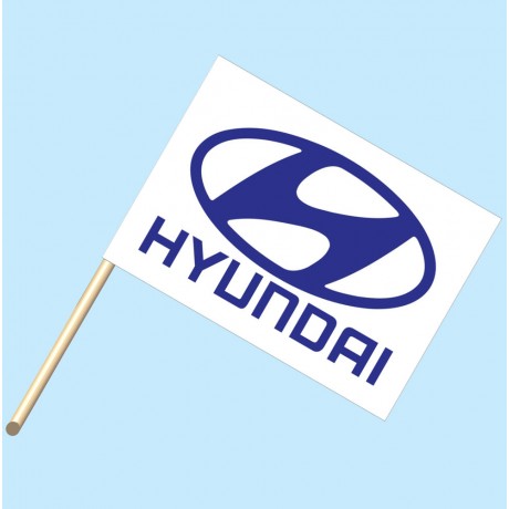 Hyundai Flag/Staff Combo