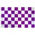 Checkered Purple & White 3' x 5' Polyester Flag