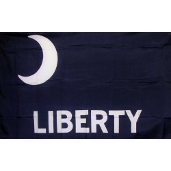 Liberty Fort Moultrie Historical 3'x 5' Flag