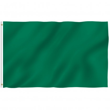 Solid Green Nylon 2'x 3' Flag