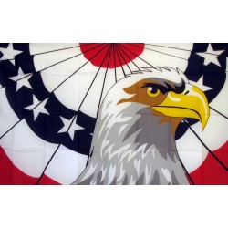 Patriot Eagle 3'x 5' Flag