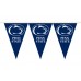 Penn State Nittany Lions 25 Foot Party Pennants