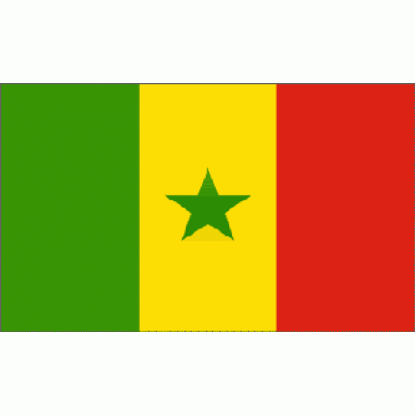 Senegal 3' x 5' Polyester Flag